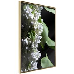 Arkiio Affisch Lilacs Detail [Poster] 40x60 Poster